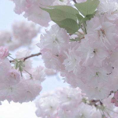 Furry插画故事感营造兽圈社群